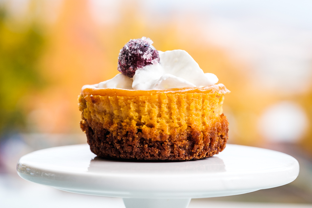 pumpkin mini cheesecake pie