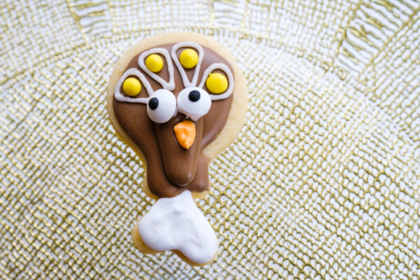 Thanksgiving DIY sugar cookie kit - Image 9